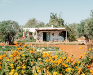 maison à vendre Ibiza rénover