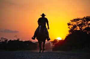 cowboys on the Spanish property market