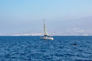 Inheritance tax in the Canary Islands